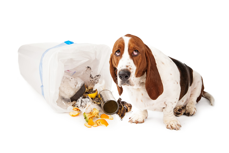 waste recycling